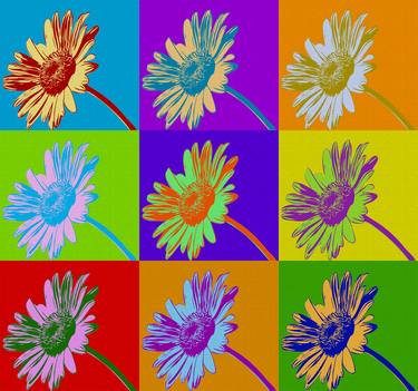 Original Pop Art Floral Paintings by Elena Zaharia