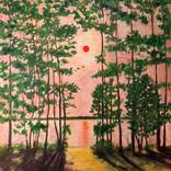 Summer Sunset, Lake Rideau by Domenica Brockman