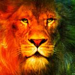 JUNGLE KING - H24XW30 HANDPAINTED by artpainting gallery