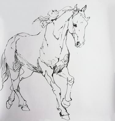 Original Figurative Horse Drawings by Jelena Djokic