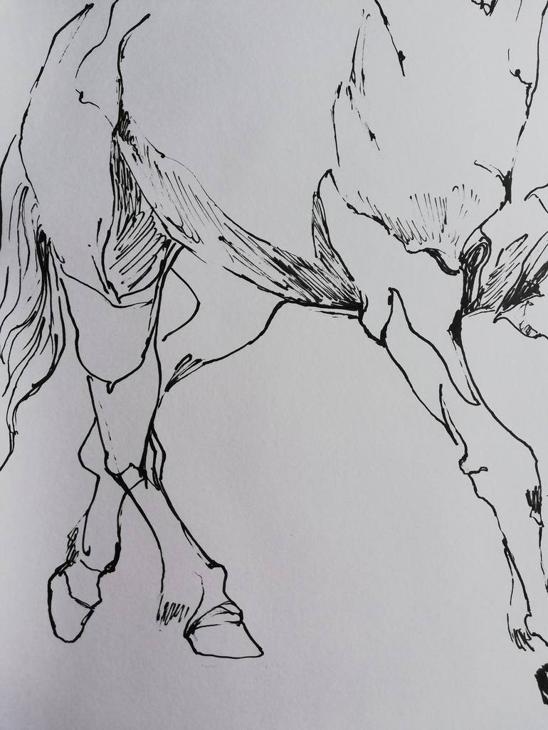 Original Black & White Horse Drawing by Jelena Djokic