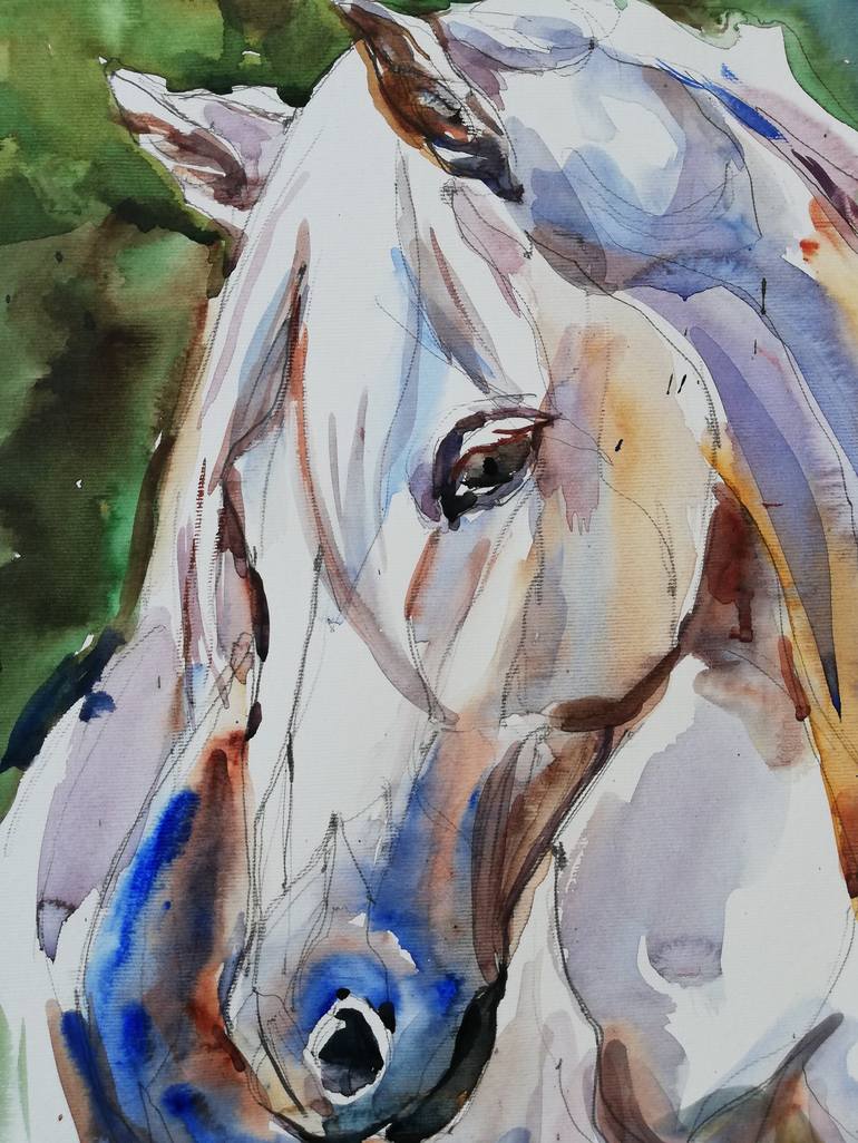 Original Figurative Horse Painting by Jelena Djokic