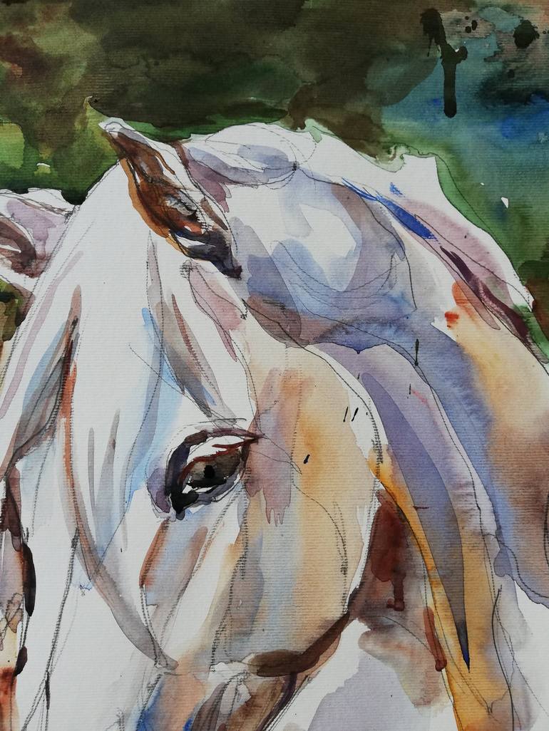 Original Figurative Horse Painting by Jelena Djokic