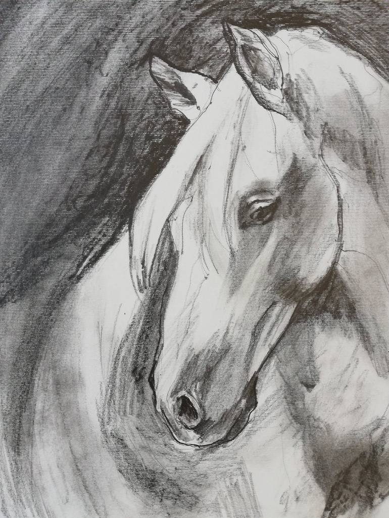 Original Horse Drawing by Jelena Djokic