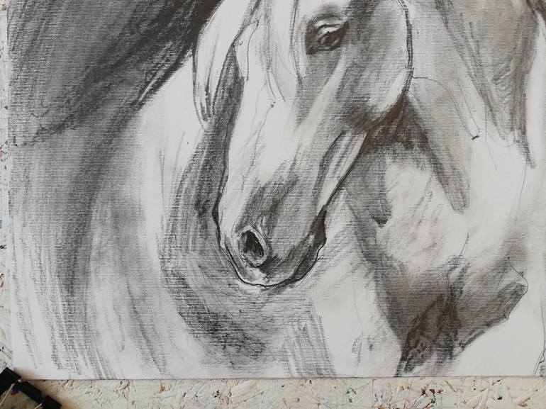 Original Horse Drawing by Jelena Djokic