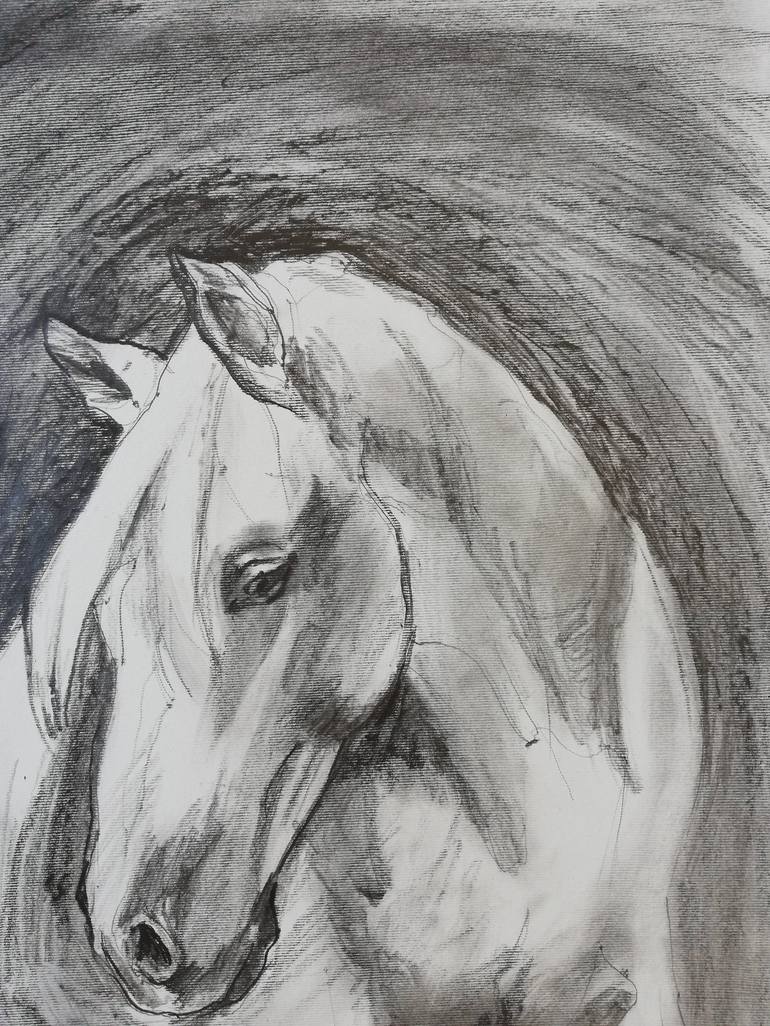 Original Figurative Horse Drawing by Jelena Djokic