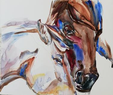 Print of Horse Paintings by Jelena Djokic