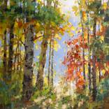 Sunlit Trees by Vadim Dolgov