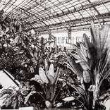 Atocha Station, Madrid by Sergio Frutos