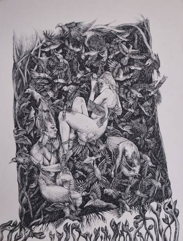 Print of Animal Drawings by Marzena Ablewska- Lech