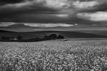 Print of Seasons Photography by Johann Kruger