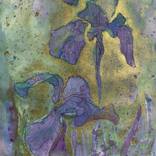 IRIS 2 by Polina Ogiy