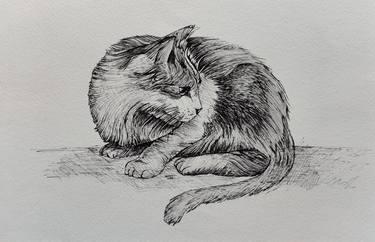 Print of Fine Art Cats Drawings by Syed Akheel