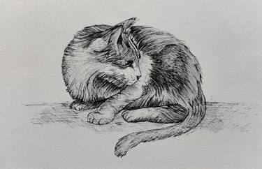 Original Fine Art Cats Drawings by Syed Akheel