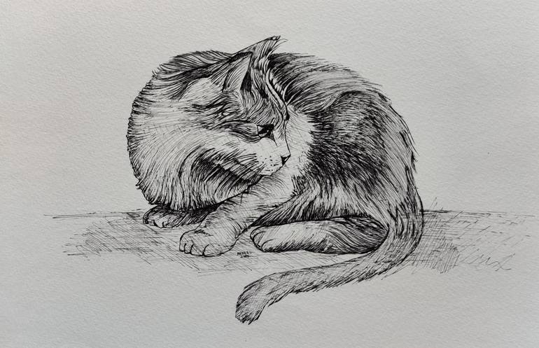 CAT (pen and ink) Drawing