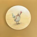 Collection French chickens