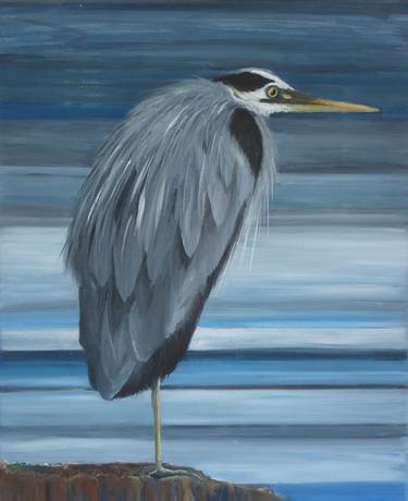 Heron bleu thumb