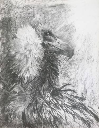 Print of Expressionism Animal Drawings by MB Magali Batté Gauthier