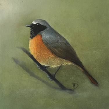 Common Redstart thumb