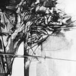 Black 19 by Oleh Voloshyn