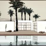 Collection Reflective Waters