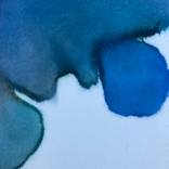 New Coves by Sarah Needham
