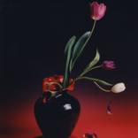 Collection Still Life