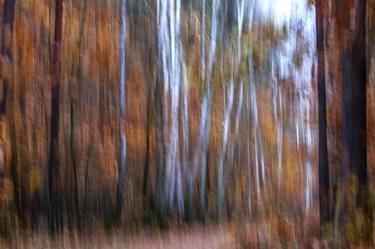 Autumnal forest - abstraction thumb