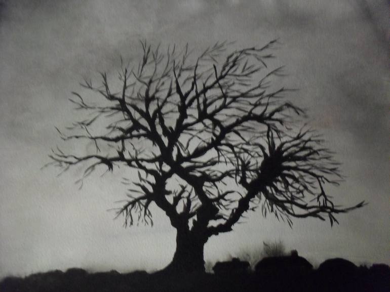 the old oak tree Drawing by Margaret L Laws | Saatchi Art