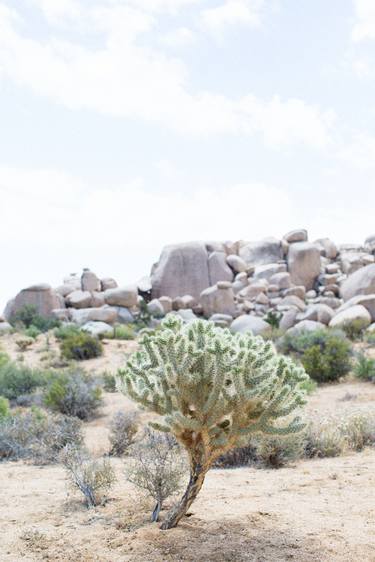 JOSHUA TREE II - Limited Edition 1 of 50 thumb