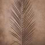 Collection Pantone Color of the Year: Mocha Mousse