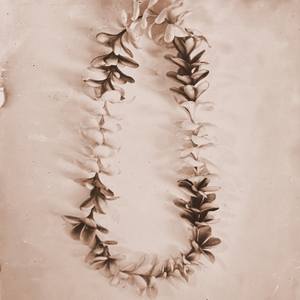 Plumeria Lei