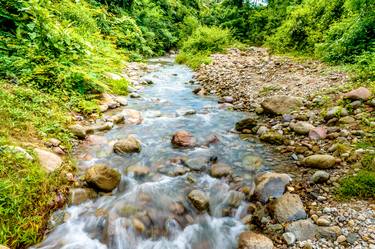 Print of Fine Art Nature Photography by Renante Tuballa