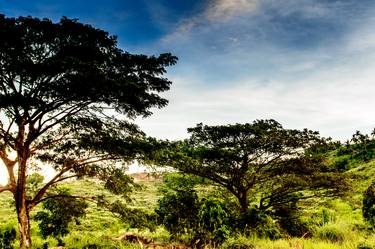 Print of Art Deco Nature Photography by Renante Tuballa