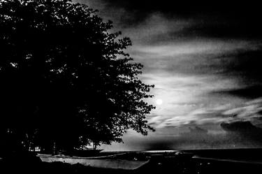 "Mr. Moonlight in Black and white" thumb