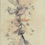 Delicate Washi abstract by Jan Sullivan Fowler