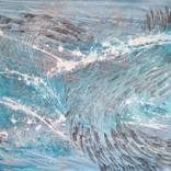 Shoal by Lindsey Keates