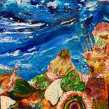 Collection Beauty of the Ocean