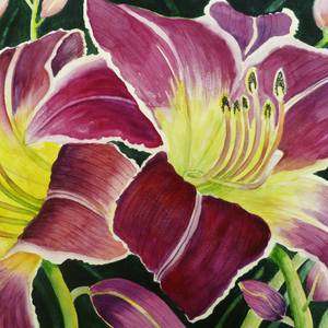 Purple Lily