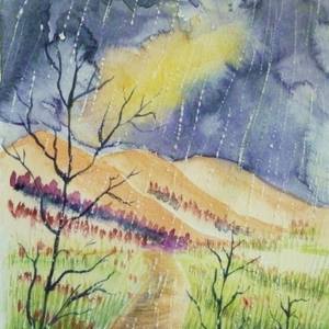 Collection Landscape