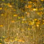 Collection Walkup Buildings - John Favs & Similar