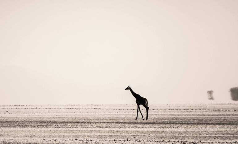 Original Documentary Animal Photography by Levi Mendes