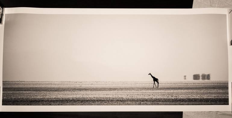 Original Documentary Animal Photography by Levi Mendes