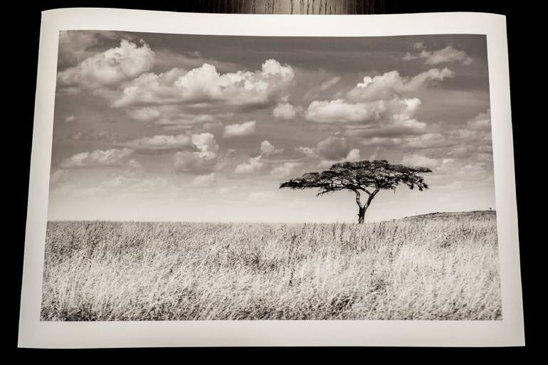 Original Documentary Landscape Photography by Levi Mendes
