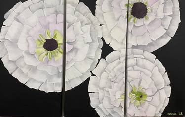 White Zinnia, 3 panel. thumb