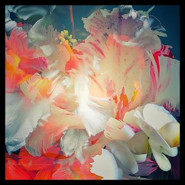 Original Floral Photography by SARAH EYTON