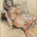 60+pastels 8.5 x 11  bound sketch book by vance hanna