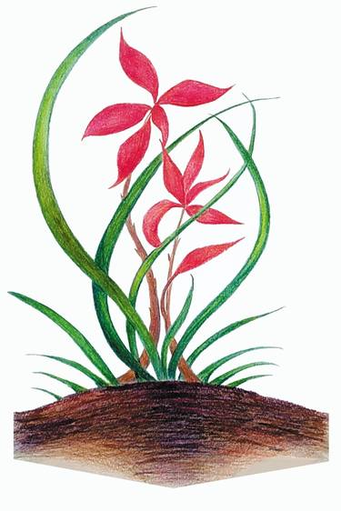 Print of Art Deco Botanic Drawings by Helgána Shyshkina-Rybalskaya