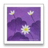 Flower Beauty by santosh dangare