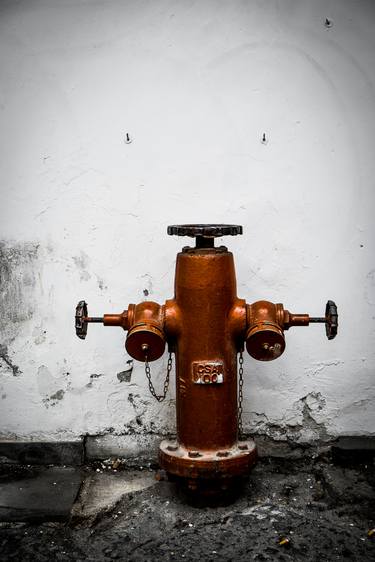 Print of Documentary Still Life Photography by David Ridley